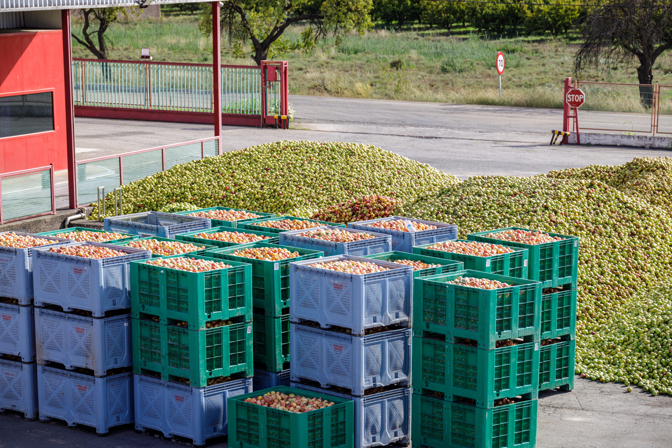 Fruit intake and plant access